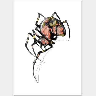 spider Posters and Art